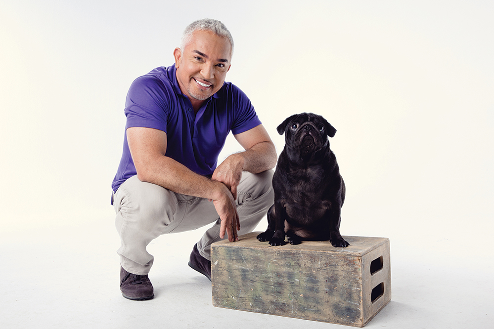 Millan teaches people how to speak dog
